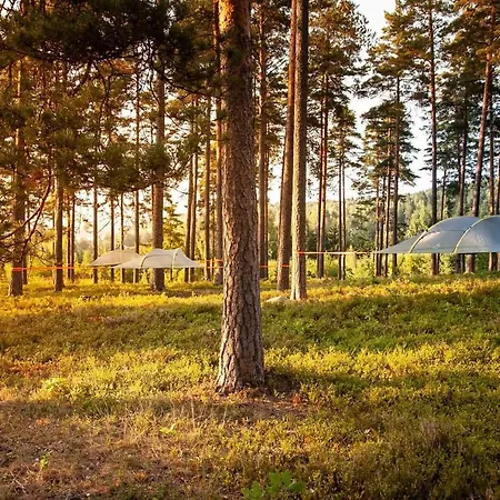 Οργανωμένο κάμπινγκ Tentsile Camp Hiidenvesi *